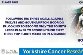 开元体最在线新网址-阿斯顿维拉主教练